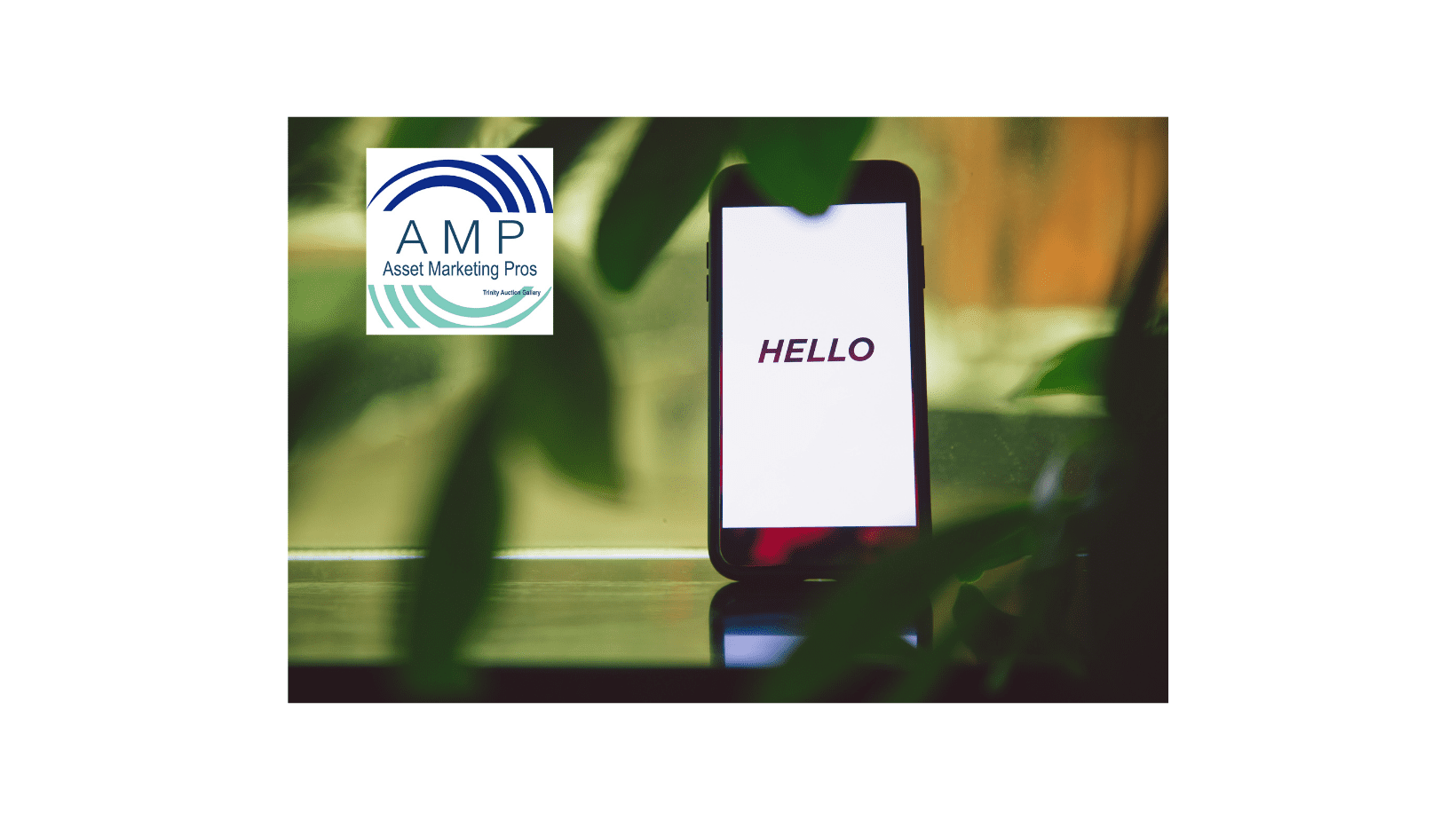 Contact us at Asset Marketing Pros